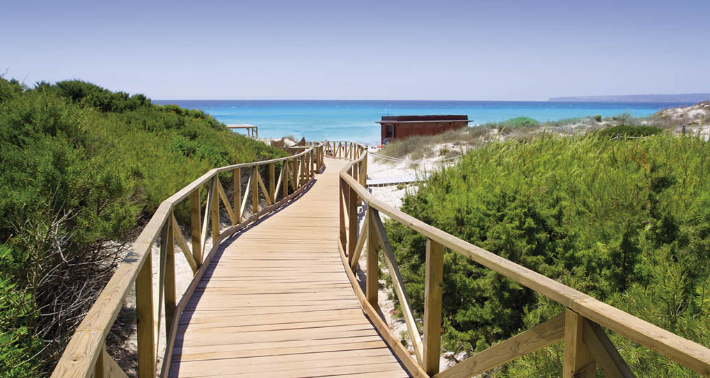 Formentera migjorn Els Arenals beach walkway of wood in Spain