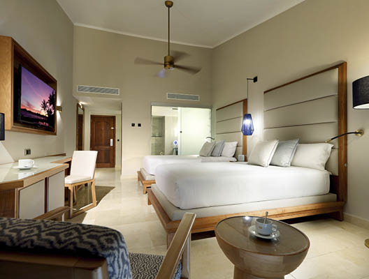 Habitaci n Deluxe con jacuzzi / ba era de hidromasaje