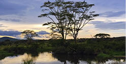 Beautiful landscape with water hole in savannah of the Serengeti national park at night, Tanzania, Africa