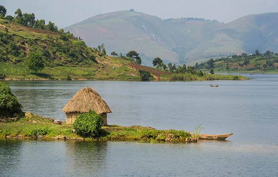 The green shoreline of Lake Kivu between the countries DR Congo and Rwanda in the heart of Africa  Lake Kivu is in the Albertine Rift, the western branch of the East African Rift  Lake Kivu empties into the Ruzizi River, which flows southwards into Lake Tanganyika 