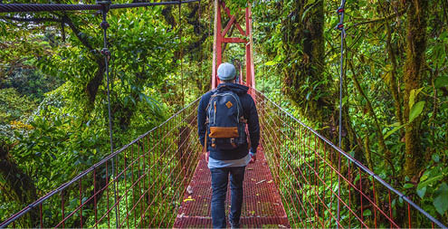 Tourist walking on a hanging suspension bridge in the jungle of Monteverde Cloud Forest, Costa Rica