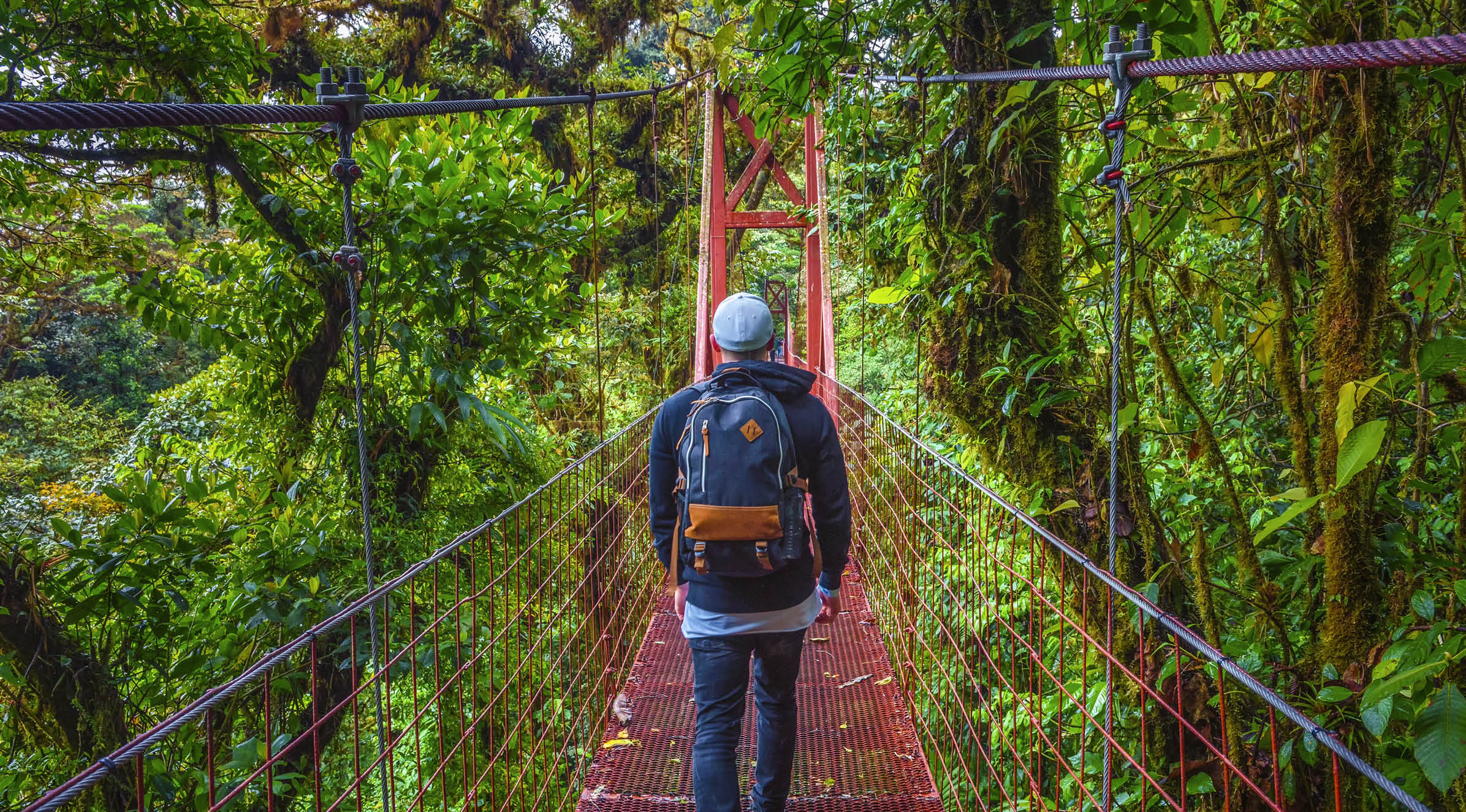 Tourist walking on a hanging suspension bridge in the jungle of Monteverde Cloud Forest, Costa Rica
