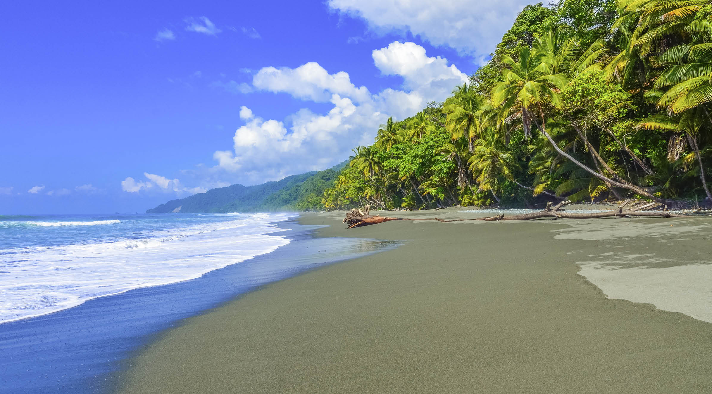 Wild beach at Corcovado Rainforest in Costa Rica