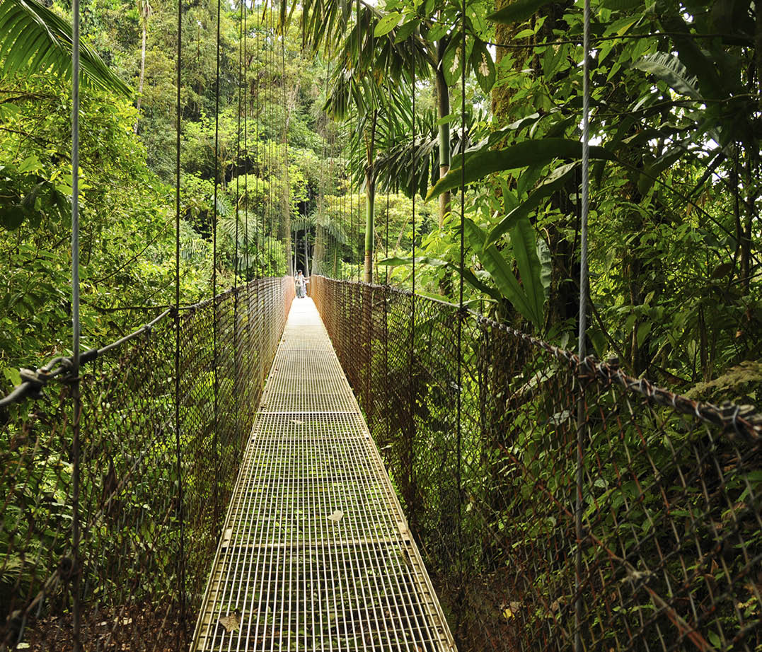 Photo taken from the famous hanging bridges in the rain forest of Costa Rica 