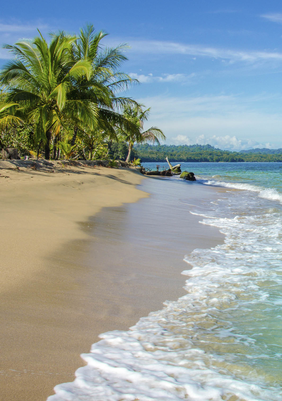 Wild beautiful beach in the caribbean of Costa Rica -  close to Puerto Viejo, Manzanillo, Cocles
