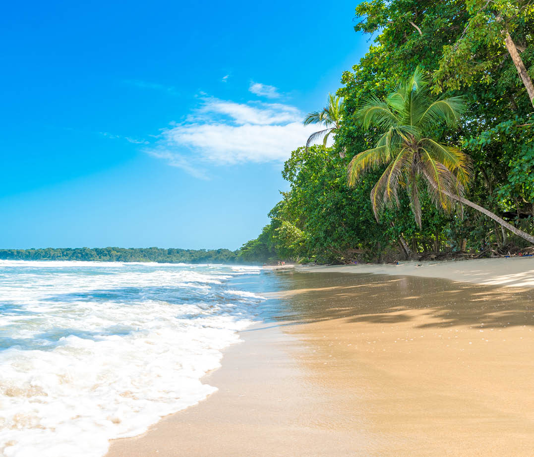 Cahuita - National Park with beautiful beaches and rainforest at caribbean coast of Costa Rica - recreation at paradise beaches