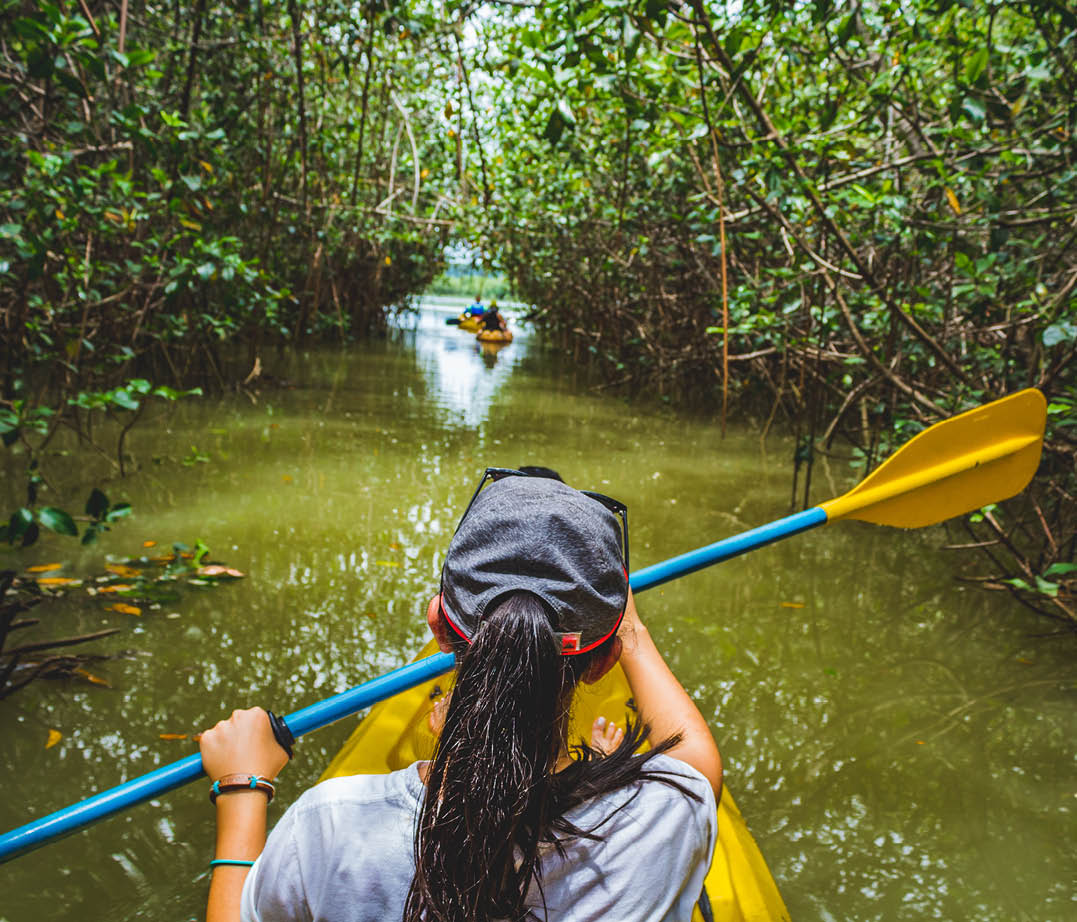 Kayaking in the biggest mangle forest of Costa Rica