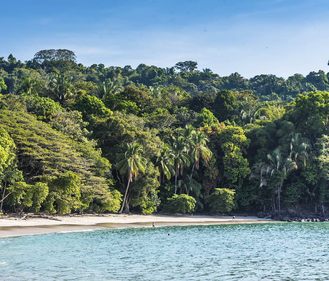 Manuel Antonio, National Park in Costa Rica - beautiful tropical beach at pacific coast