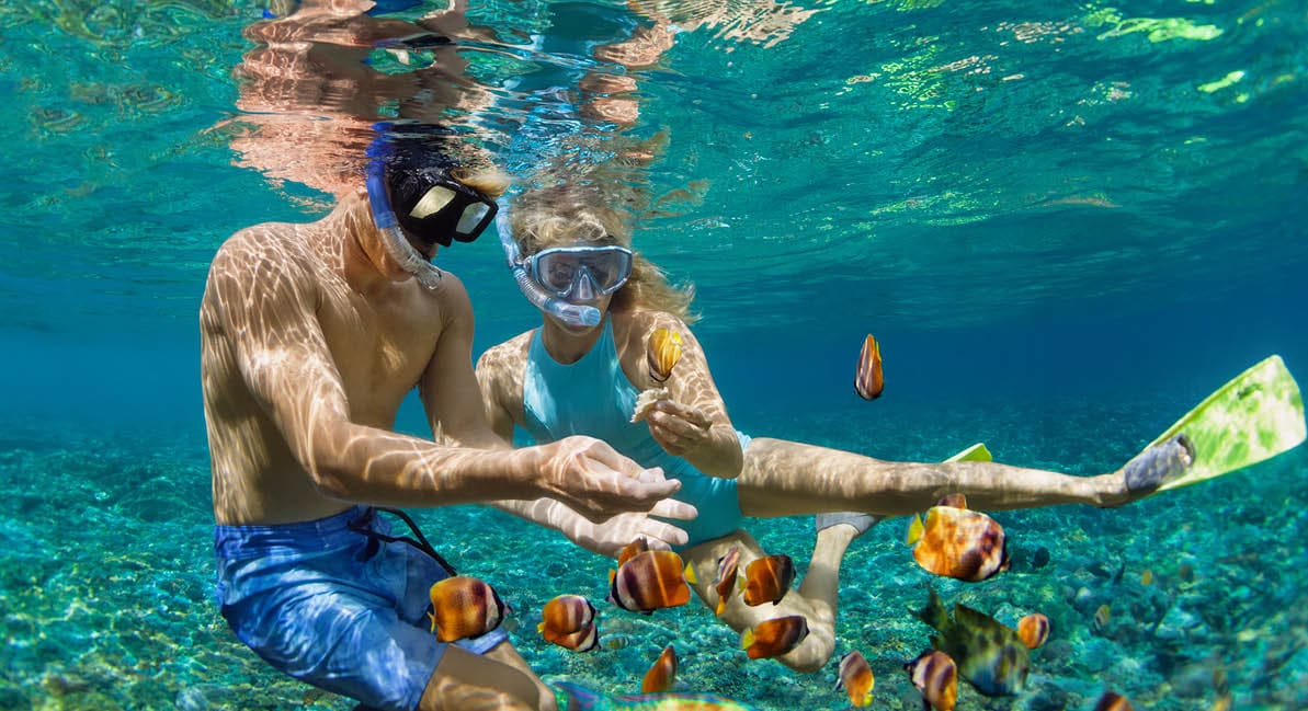 Happy family vacation  Young couple in snorkeling mask hold hand, dive underwater with fishes in coral reef sea pool  Travel lifestyle, watersport adventure, swim activity on summer beach holiday
