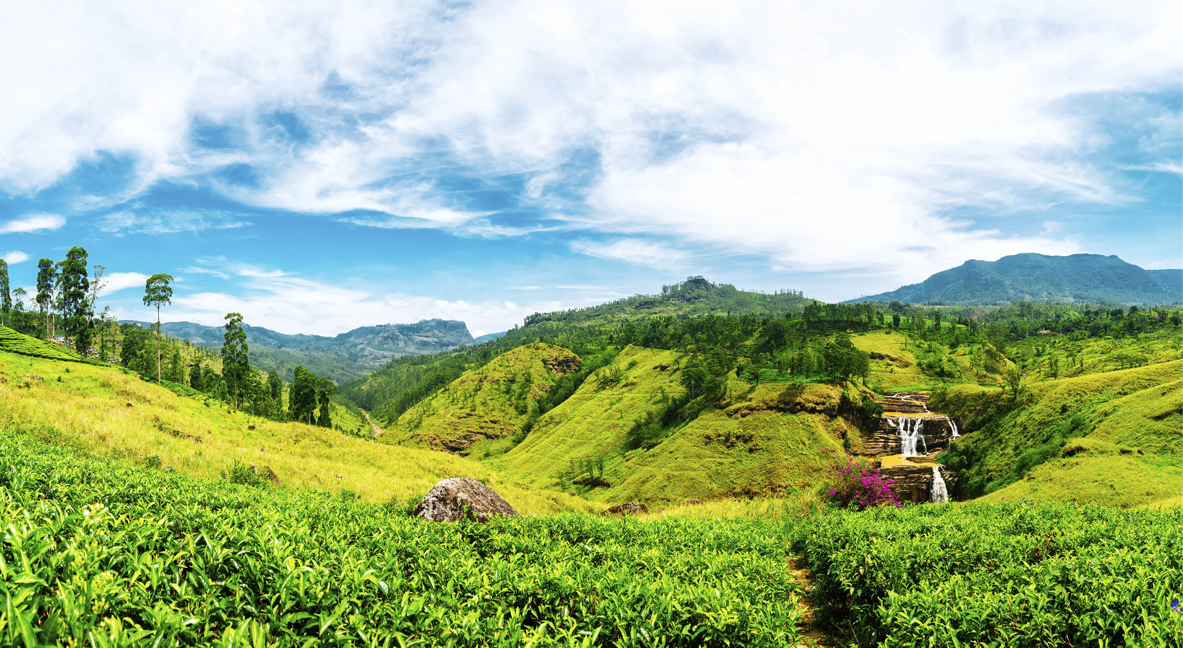 Waterfall valley near Nuwara Eliya, Sri Lanka. Tea plantations on the foreground. Waterfall, mountains and blue sky with clouds on the background. Shot taken with Canon 5D mk III. High resolution panorama.