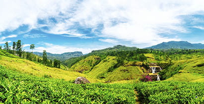 Waterfall valley near Nuwara Eliya, Sri Lanka. Tea plantations on the foreground. Waterfall, mountains and blue sky with clouds on the background. Shot taken with Canon 5D mk III. High resolution panorama.