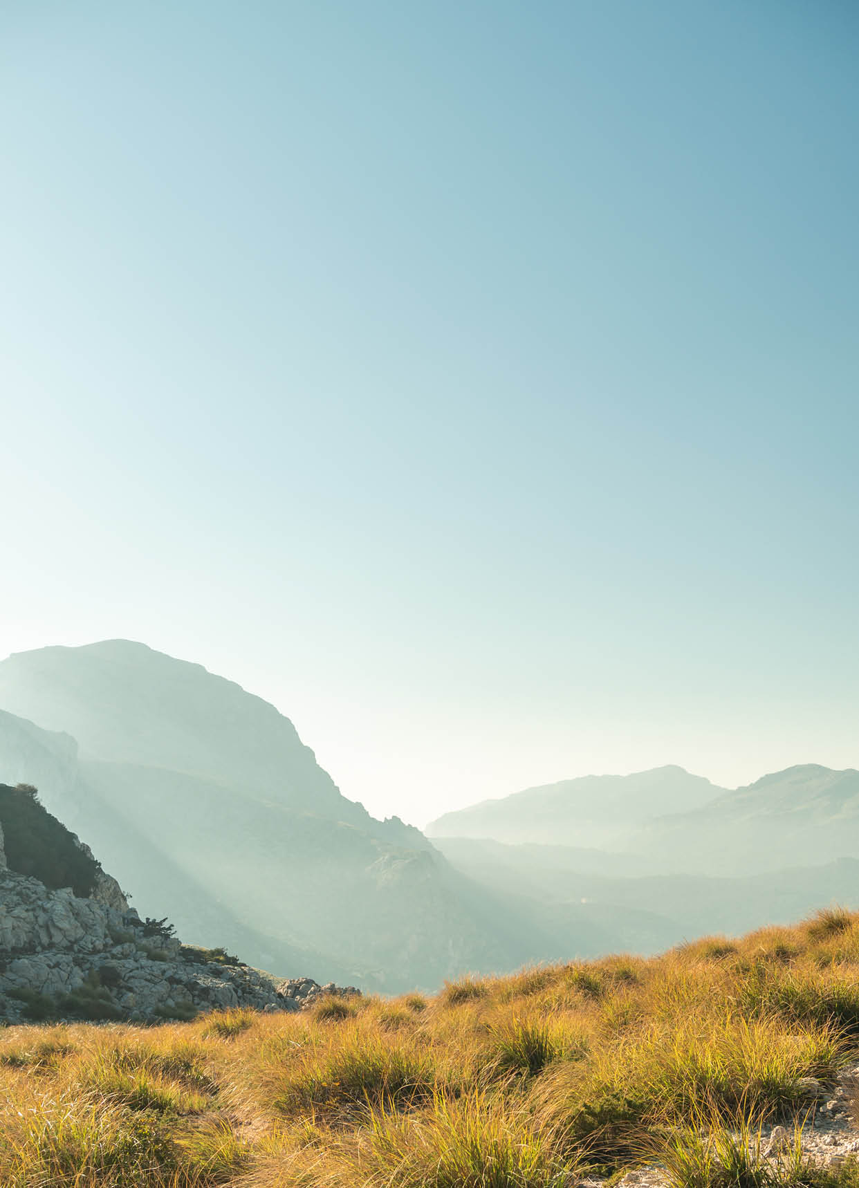 landscape of mountains and sunset with trees in the sierra de tramuntana spain mallorca
