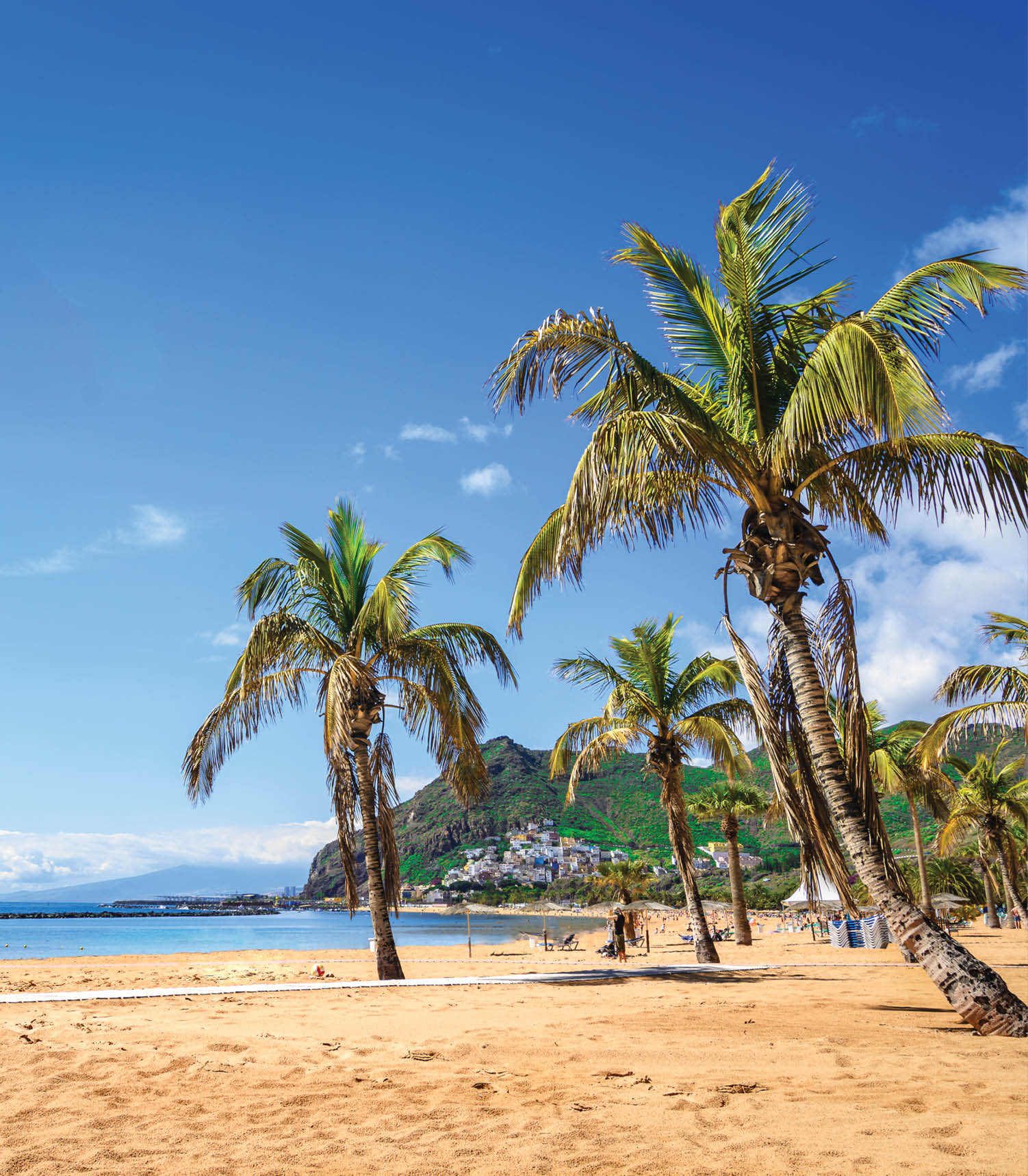 Las Teresitas, Tenerife,Canary islands,Spain: Playa de Las Teresitas, a famous beach near Santa Cruz de Tenerife with scenic San Andres village