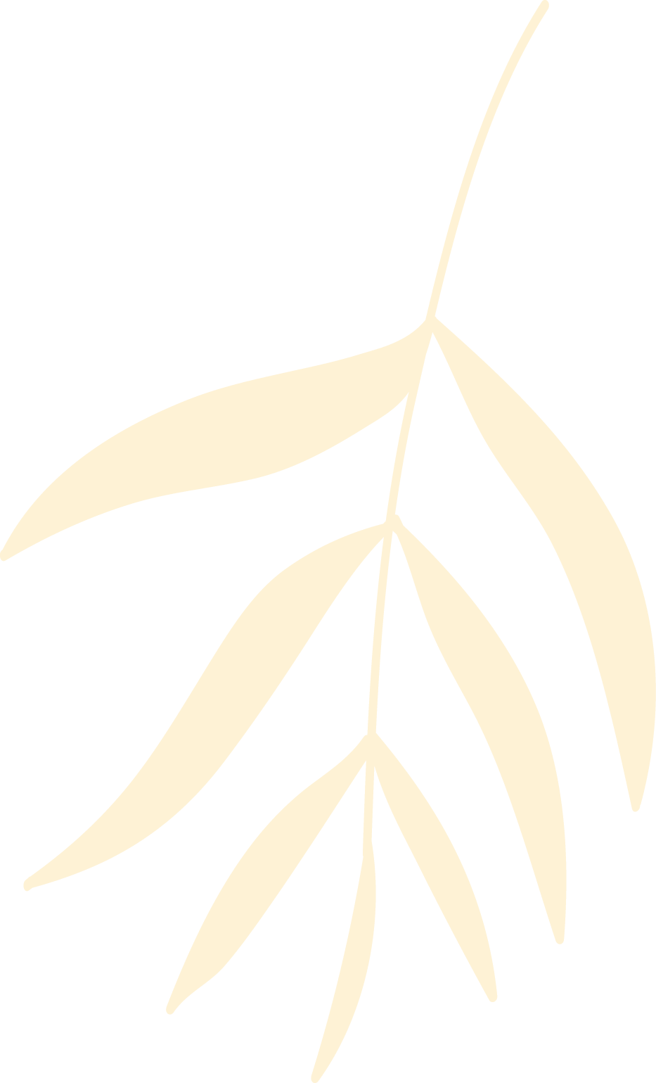 Polygon