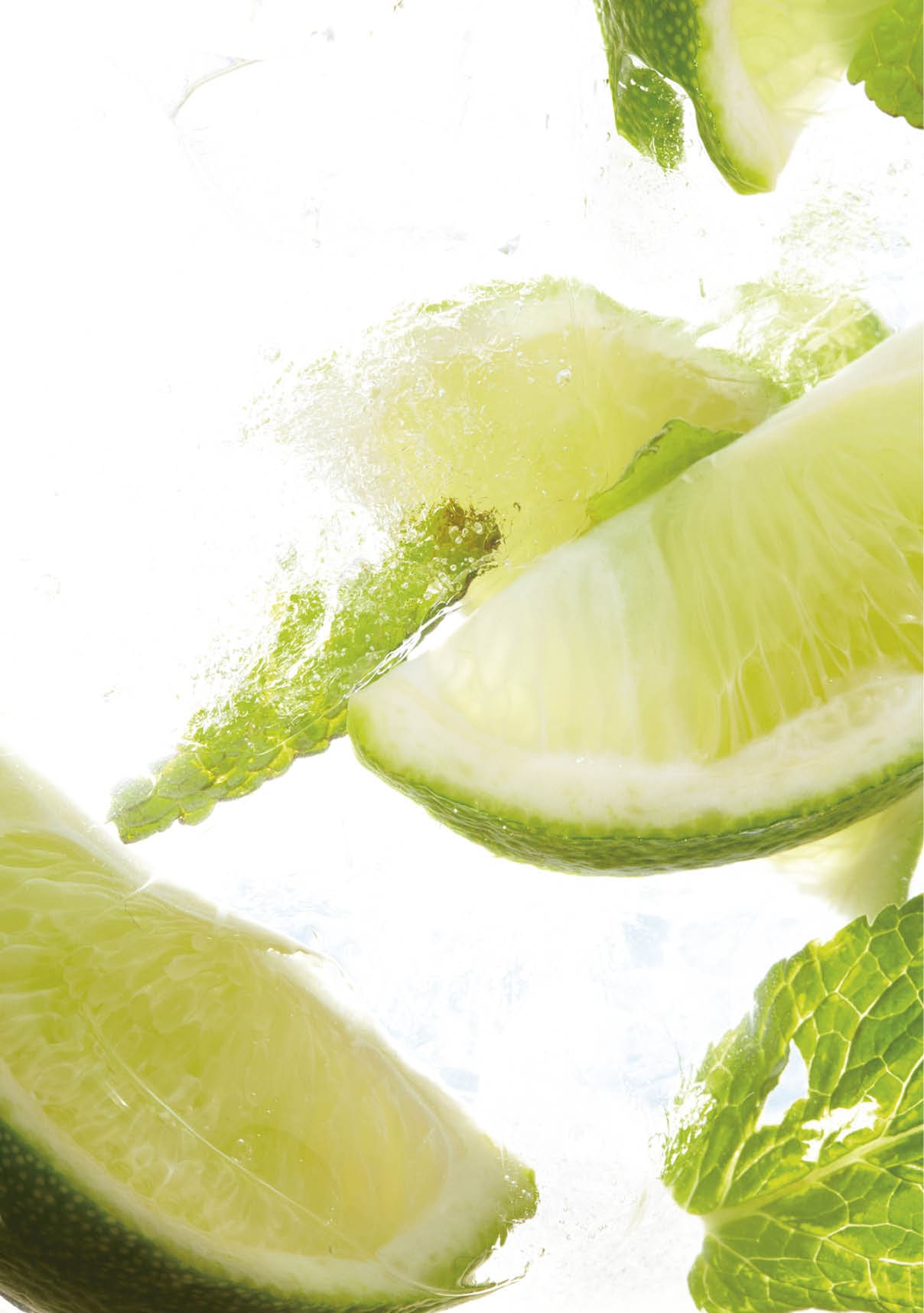 leaf mint and cut citrus in ice 