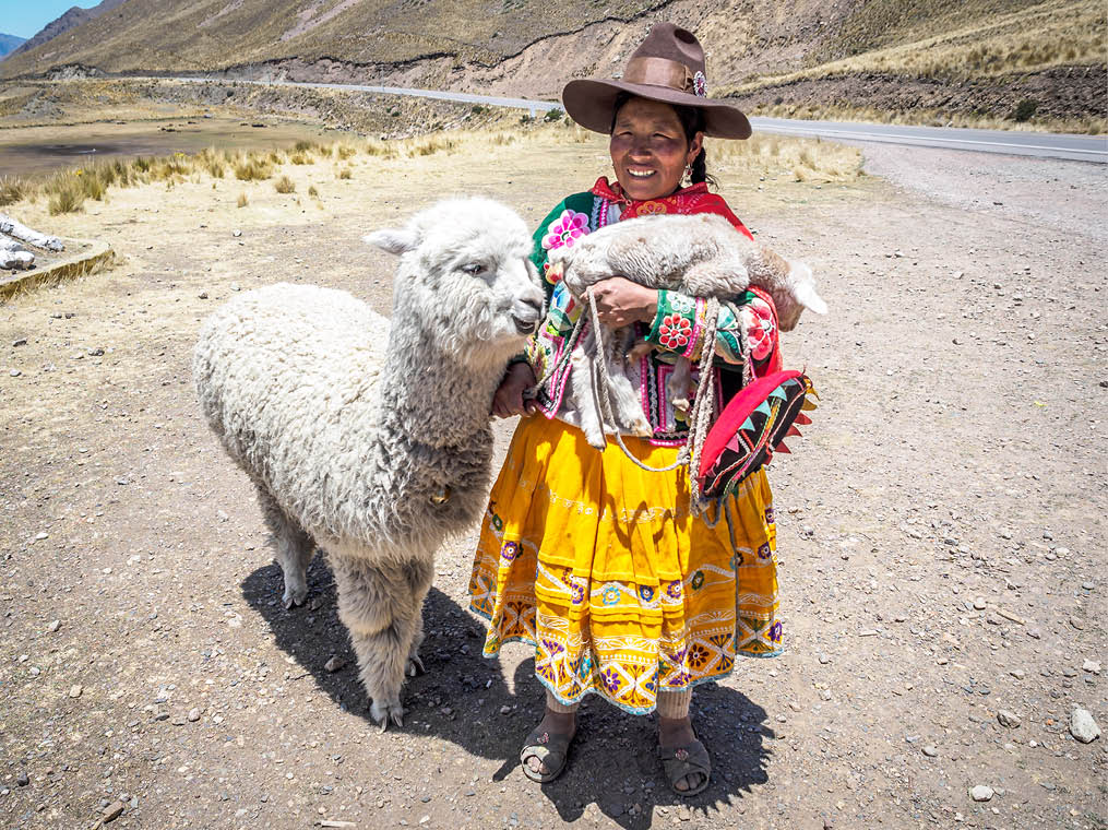 A native Peruvian with her alpaca in Peru 
