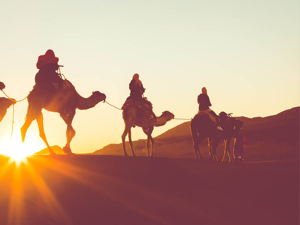 Camel caravan with people going through the sand dunes in the Sahara Desert  Morocco, Africa 