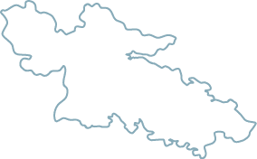 Polygon