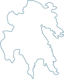 Polygon