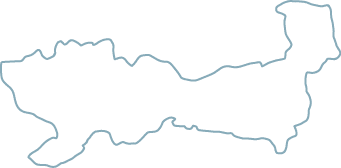 Polygon