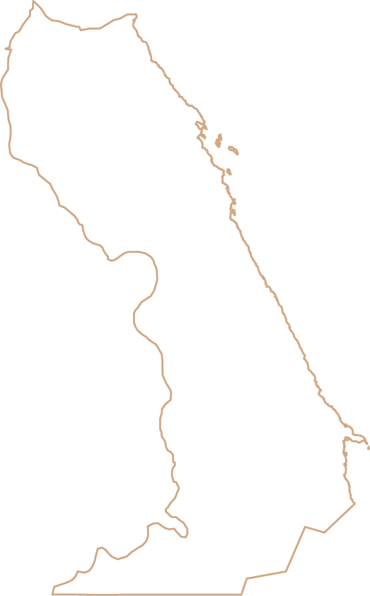 Polygon