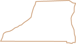 Polygon