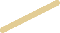 6 línea