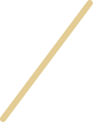 2 línea