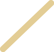 6 línea