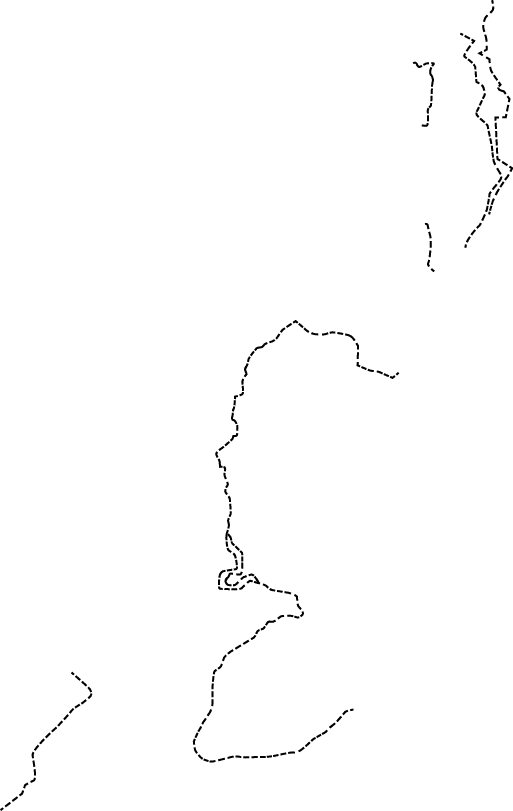 Polygon