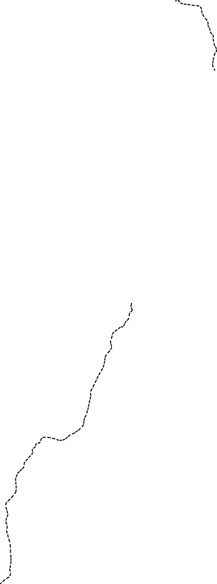 Polygon