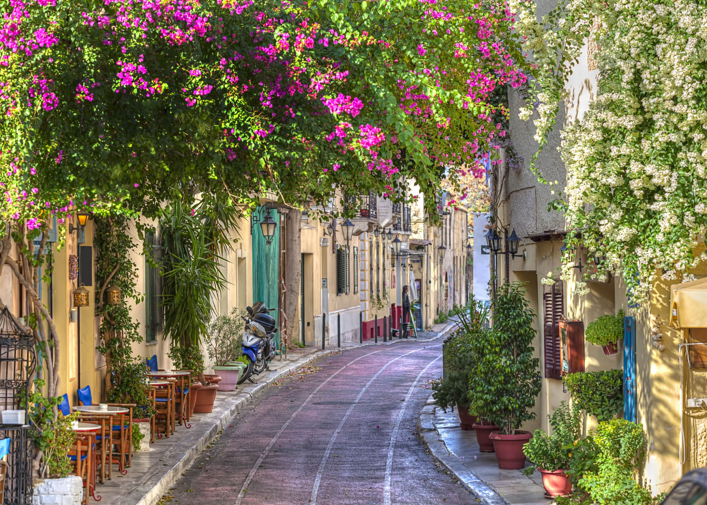 1 zona  santorini zonas : fira 