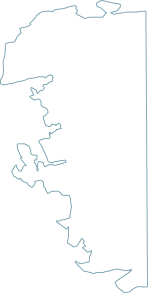 Polygon