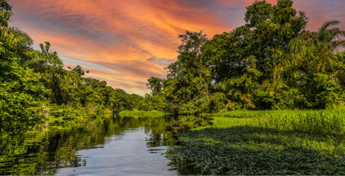 Canal in the national park of Tortuguero with its tropical rainforest along the Caribbean Coast of Costa Rica, Central America.