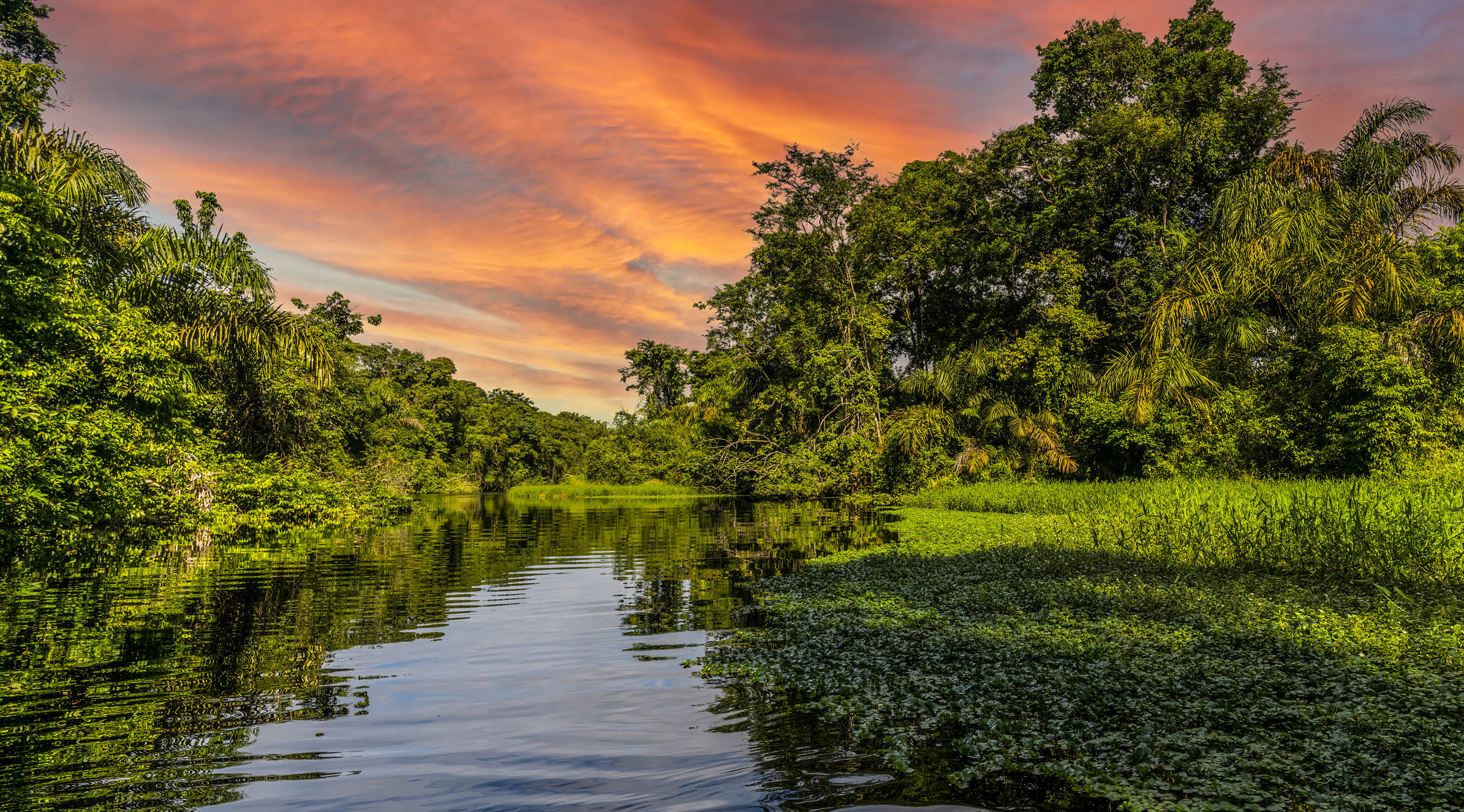 Canal in the national park of Tortuguero with its tropical rainforest along the Caribbean Coast of Costa Rica, Central America.
