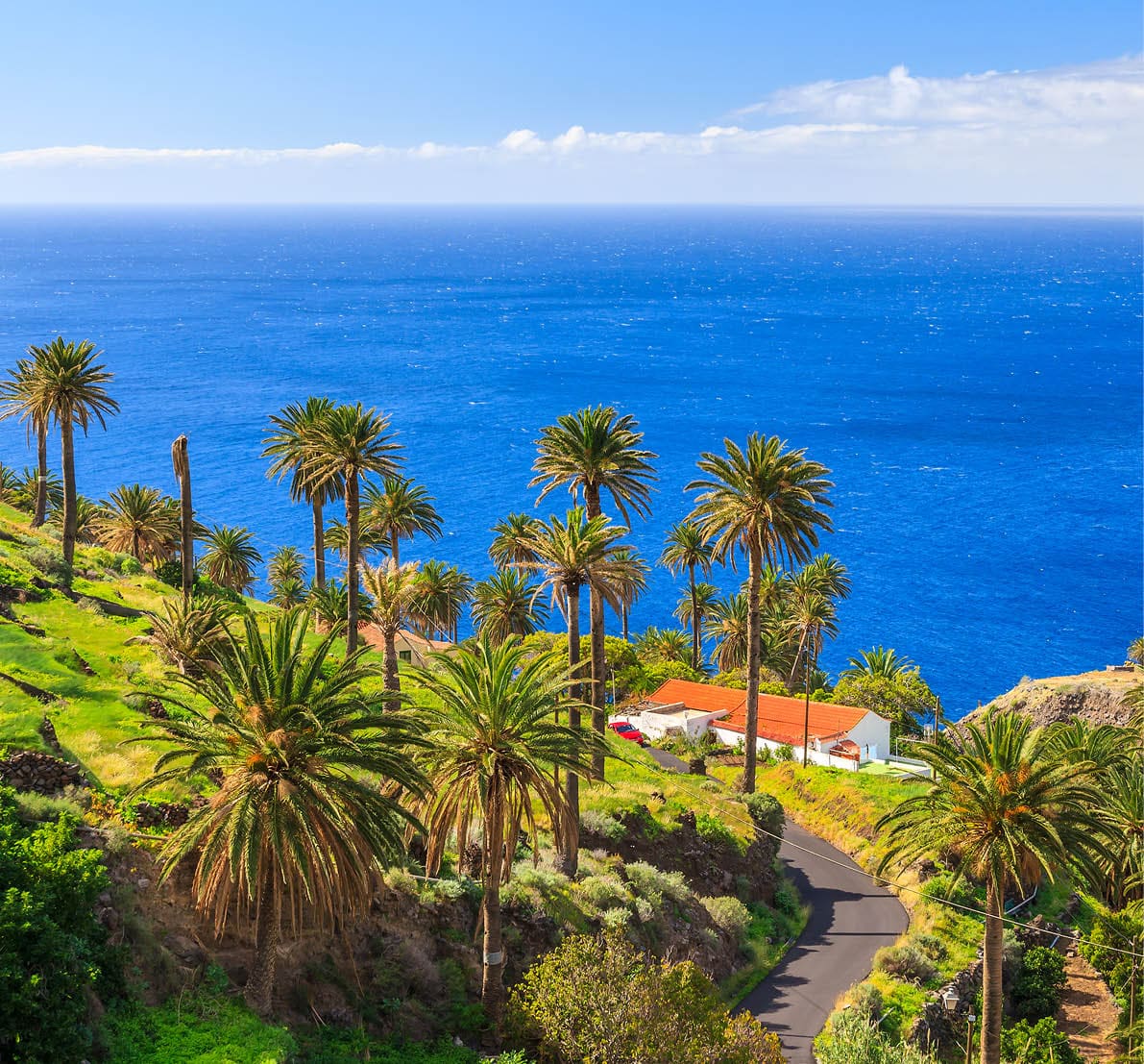 Palm trees with ocean water in background in tropical landscape of La Gomera island in Taguluche mountain village, Canary Islands, Spain