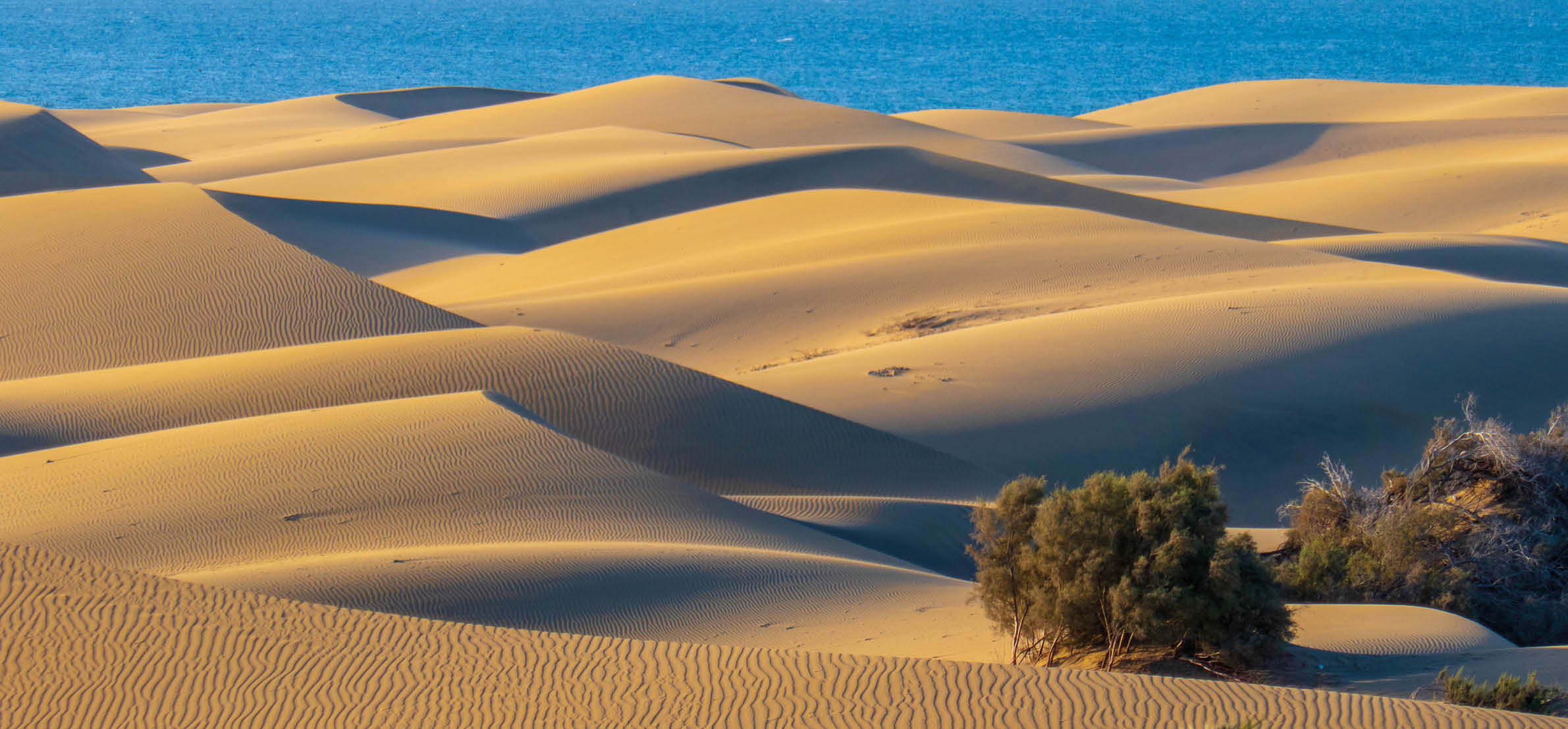 The famous Dunes of Maspalomas, Gran Canaria in summer