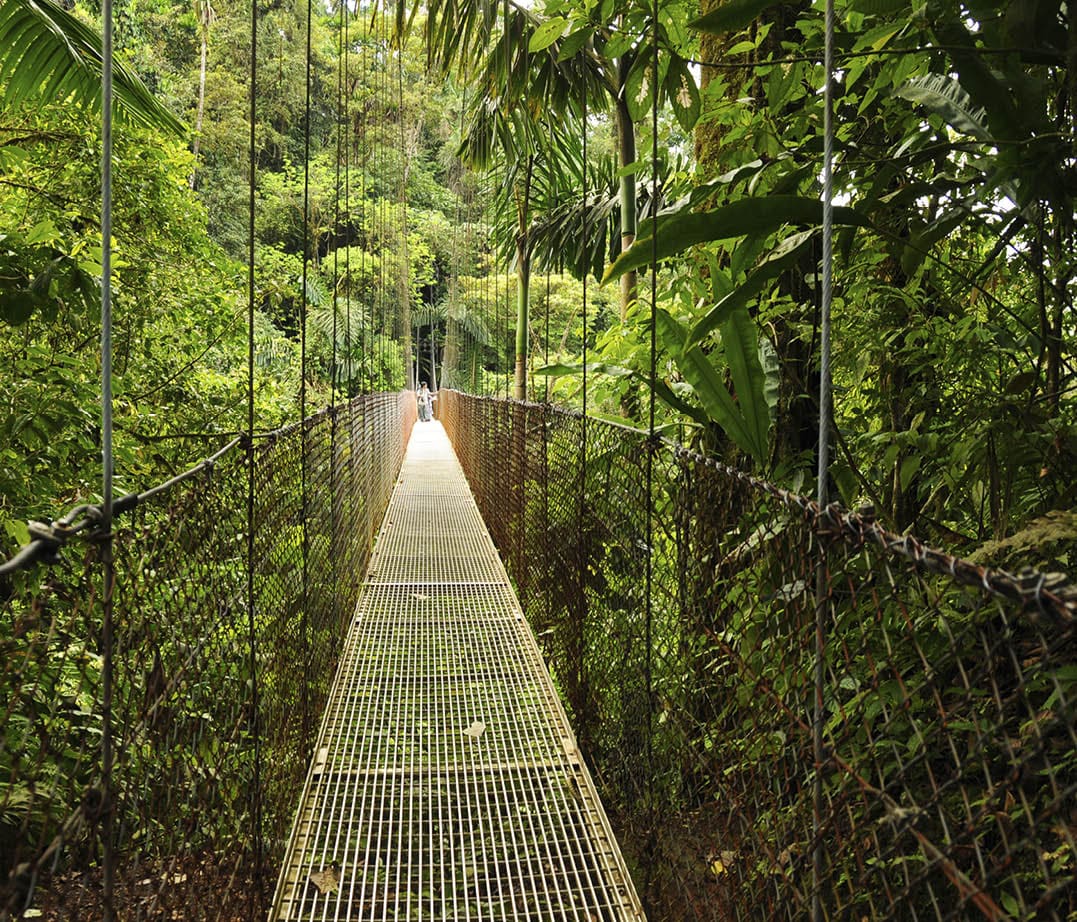 Photo taken from the famous hanging bridges in the rain forest of Costa Rica.
