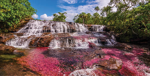 Titled as Colombia's unique biological wonder, Ca o Cristales goes by many identities such as “river of five colors,” “the river that ran away from paradise,” and “the most beautiful river in the world.” Only during the short span between the wet and dry seasons, when the water level is just right, a unique species of plant that lines the river floor called “Macarenia clavigera" turns into a brilliant red During the wet season, the water flows too fast and deep, denying the Macarenia clavigera the sun that it needs to turn red. For a few weeks from September to November, the river transforms into a flowing rainbow. Ca o Cristales, is part of National Park Serrania de la Macarena and accessible from the nearby town of La Macarena.