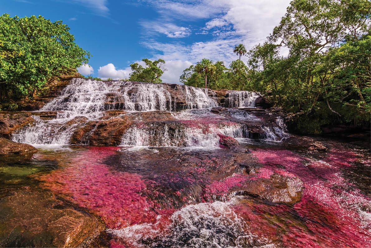 Titled as Colombia's unique biological wonder, Ca o Cristales goes by many identities such as “river of five colors,” “the river that ran away from paradise,” and “the most beautiful river in the world.” Only during the short span between the wet and dry seasons, when the water level is just right, a unique species of plant that lines the river floor called “Macarenia clavigera" turns into a brilliant red During the wet season, the water flows too fast and deep, denying the Macarenia clavigera the sun that it needs to turn red. For a few weeks from September to November, the river transforms into a flowing rainbow. Ca o Cristales, is part of National Park Serrania de la Macarena and accessible from the nearby town of La Macarena.