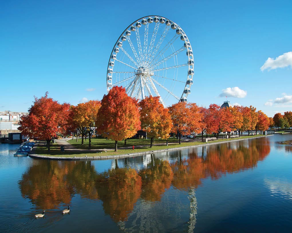 Great wheel of Montreal with his panoramic view 60 of meters high, and a breathtaking view of the river, Old Montreal and downtown city during fall season 