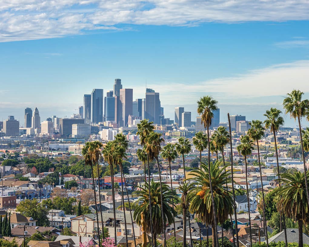Cloudy day of Los Angeles downtown skyline and palm trees in foreground