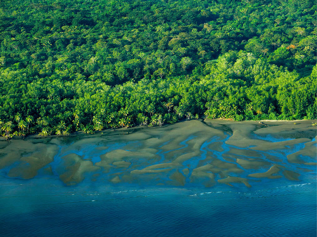 Ocean coast and tropic jungle forest in Costa Rica  River in tropic Costa Rica, Corcovado NP  Lakes and rivers, view from airplane  Green tropic jungle forest in Central America  Trees with water 