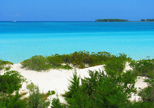 Clear water and sand dune covered with green plants, Cayo Guillermo, Cuba