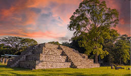 A Mayan pyramid next to a tree at the Copán Ruinas temples in a beautiful orange sunrise  Honduras