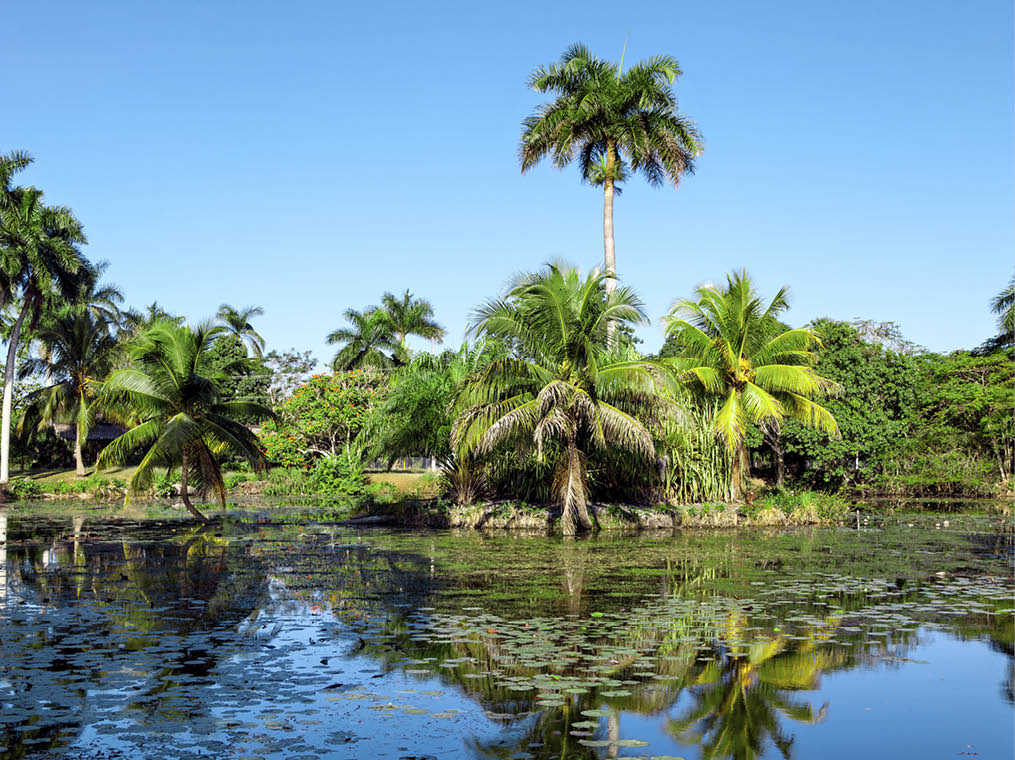 Tropical lake nearby crocodile farm at Playa Larga, Bay of Pigs, Matanzas, Cuba 