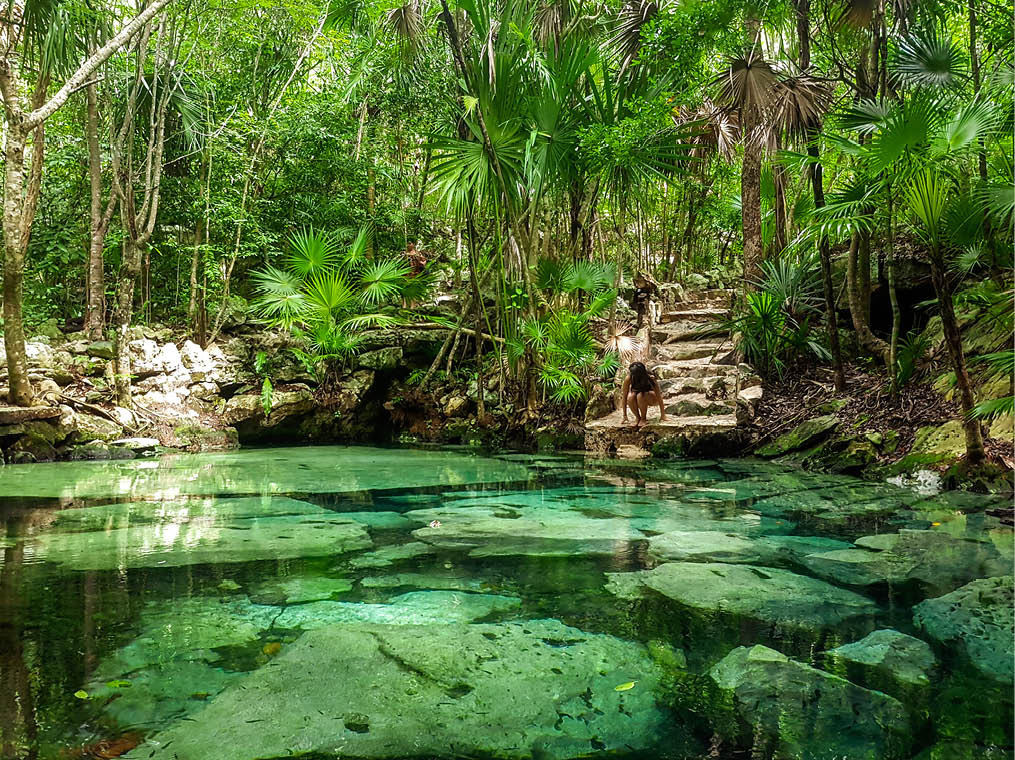 Green paradise cenote azul with palm trees and ruins at bottom of the water in the Riviera Maya, Yucatan Peninsula