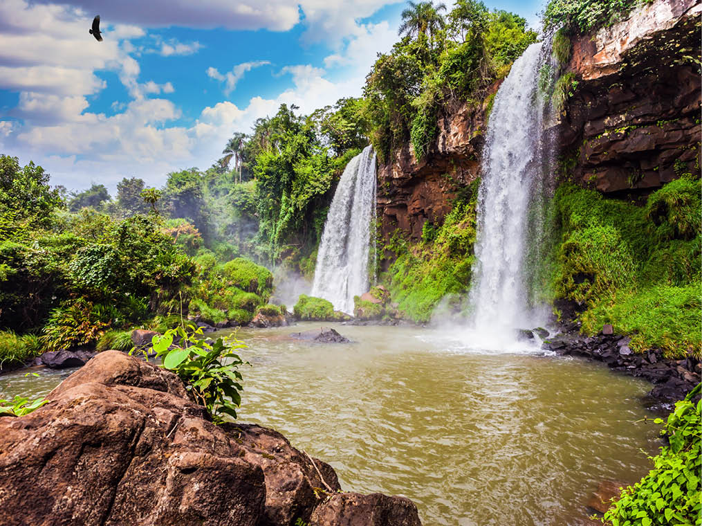 Two fairy powerful waterfalls from Iguazu Falls in Argentina  The Andean condors are circling in the sky above the water  The concept of extreme and ecological tourism