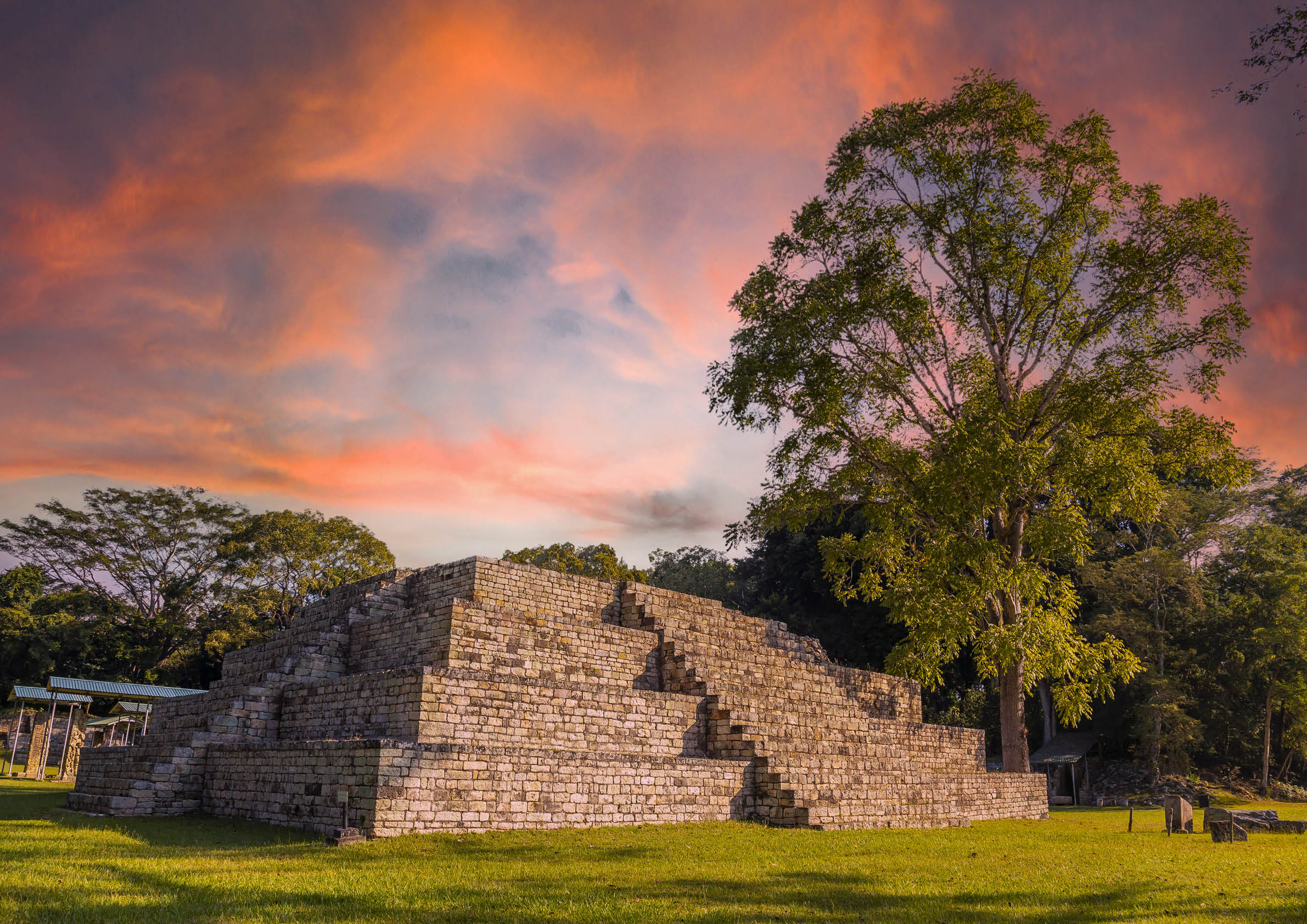 A Mayan pyramid next to a tree at the Copán Ruinas temples in a beautiful orange sunrise  Honduras