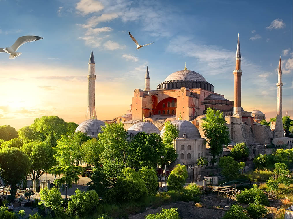 Bird and Hagia Sophia at sunset in Istanbul, Turkey